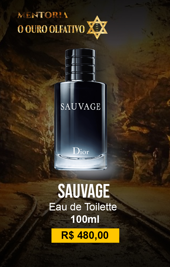 SAUVAGE-DIOR-EDT-100ML.jpg